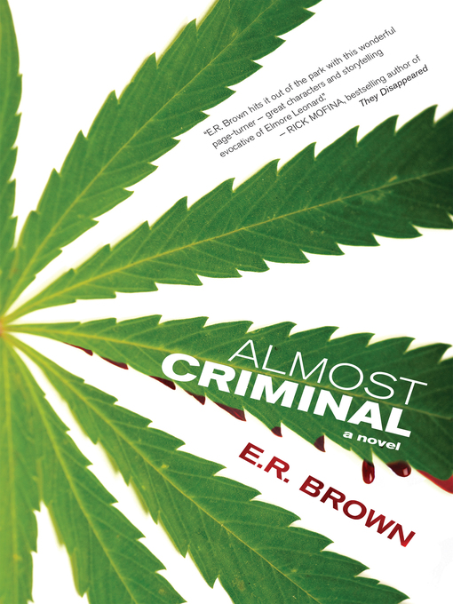 Title details for Almost Criminal by E.R. Brown - Wait list